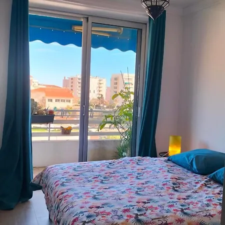 Le Vallombrosa - Deux Pieces Lumineux Et Confortable Apartment